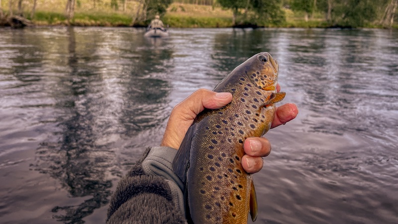 220717 rena trout john bond