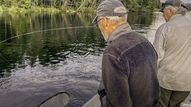 220723 rena guide netting