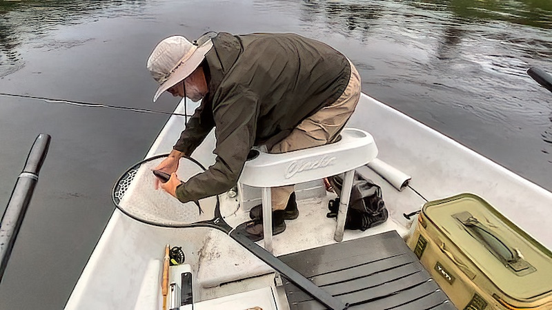 Steen Ellemose 220724 rena steen fisk