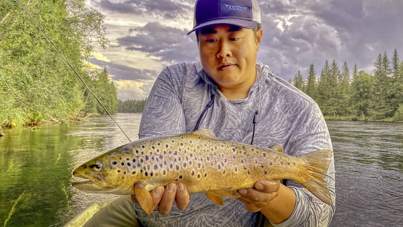 Rena ørred 220815 rena boseman trout