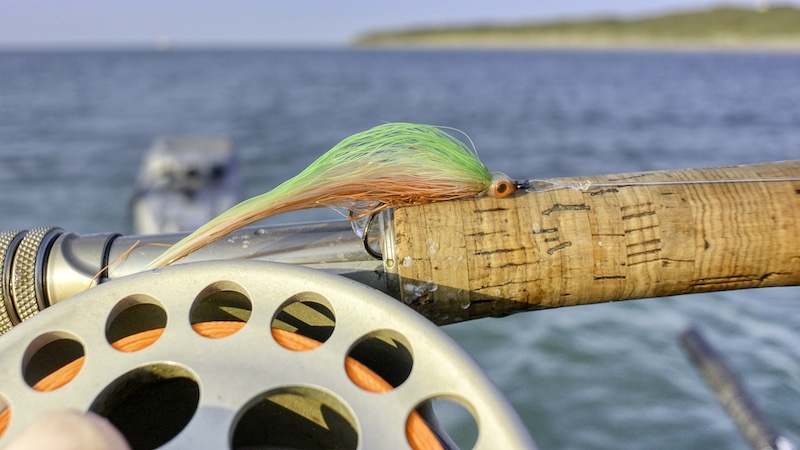 220824 hirtshals streamer