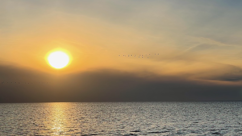 220904 vesterhavet sunset skarv sunset