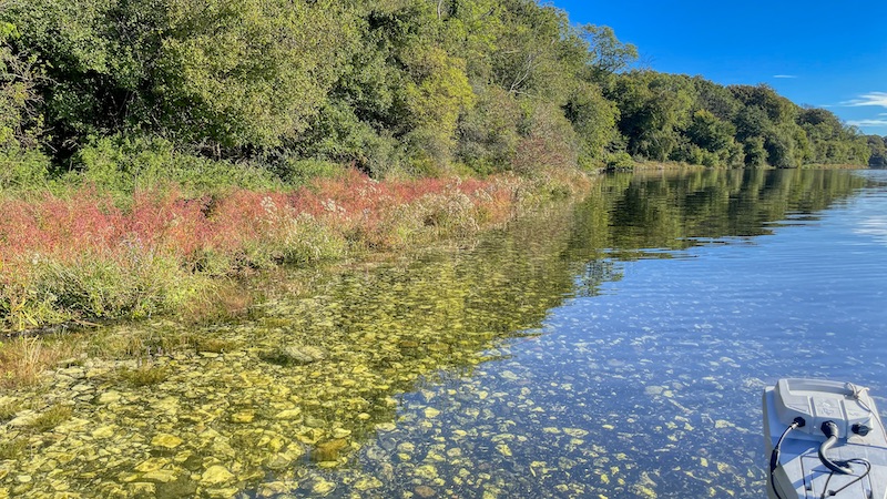 220917 mariager clear water