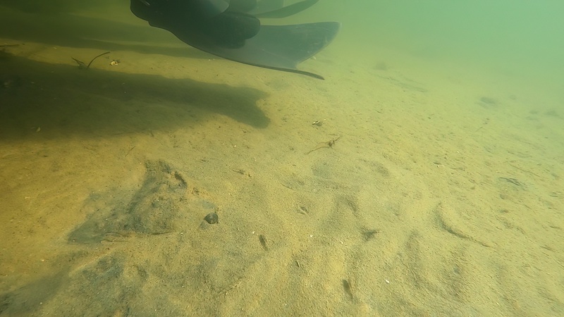 220918 randers fjord udbyhoj rejer kutlinge