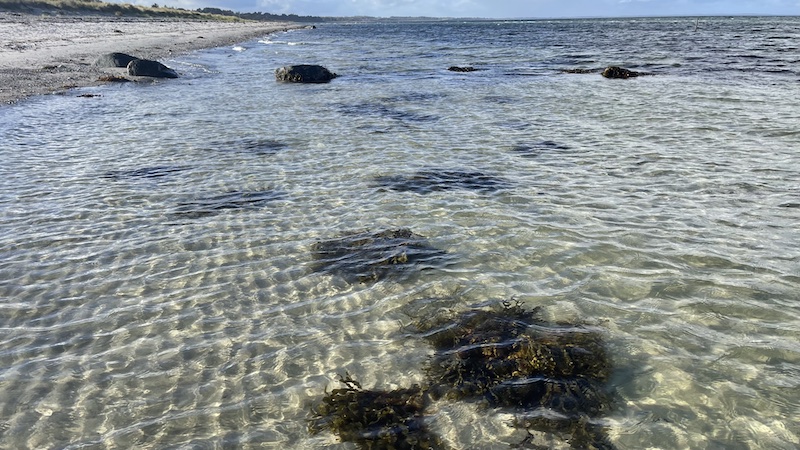 Fjellerup Strand 221025 fjellerup kysten