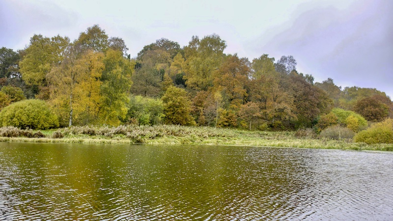 221028 lake fall colerful