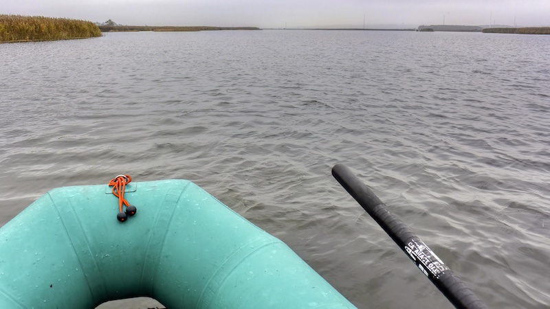 Dronningborg Bredning 221030 bredningen diset