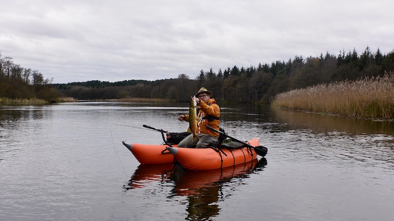 221119 gudenaa henrik thomsen gedde