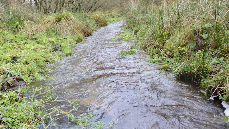 221130 small stream