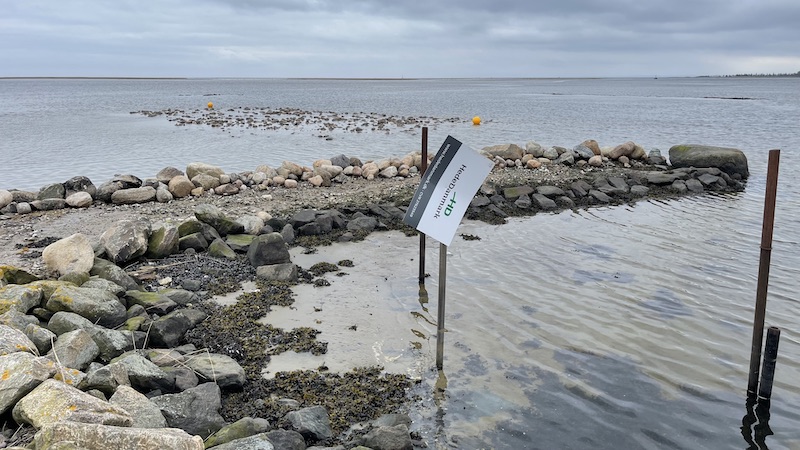 230321 randers fjord skolerev mole