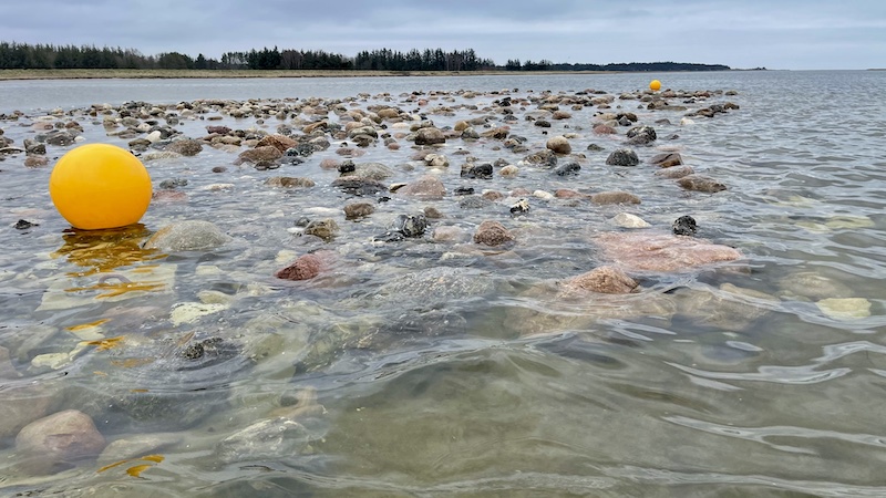 230321 randers fjord skolerev
