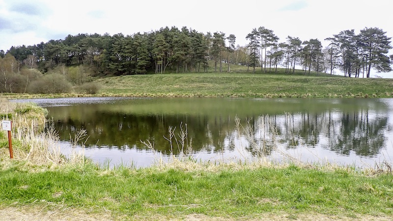 Forår ved søen 230423 milldam oversigt