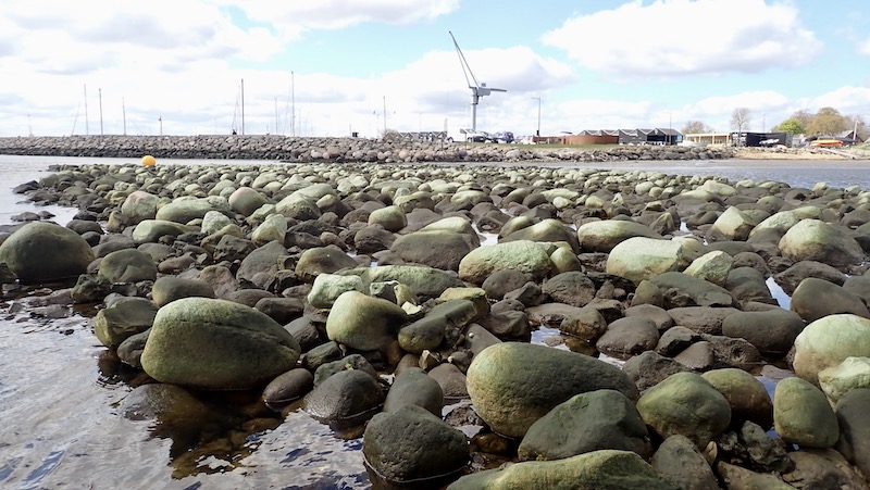 230429 randers fjord stenrev