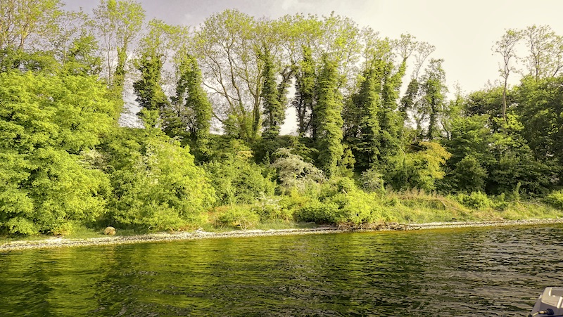 230527 laanhus wood bank