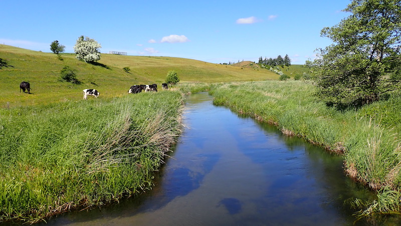 230602 villestrup hills