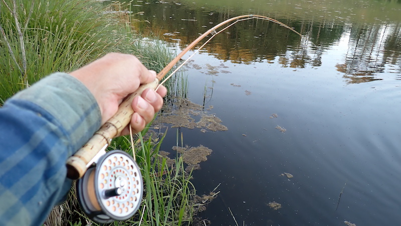 Fighttime! 230605 lake fries rod