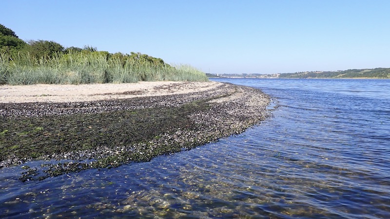 Mariager Fjord med Hobro i baggrunden 230608 bramslev hobro