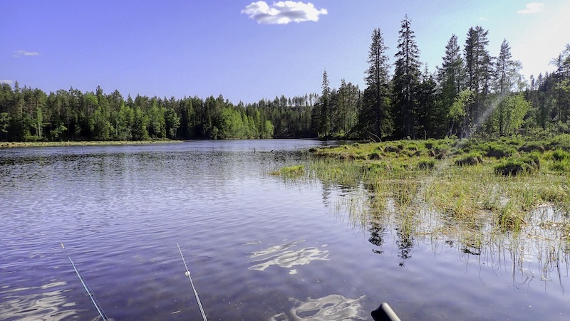 230610 rena elven