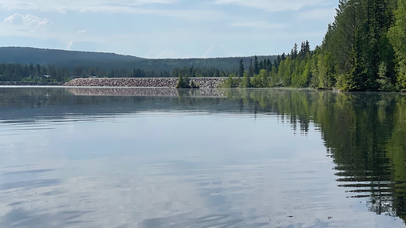 Dæmningen i Løbsøen 230614 rena damm