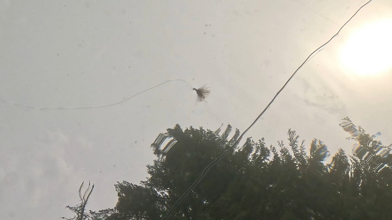230618 rena dryfly fiskeperspektiv