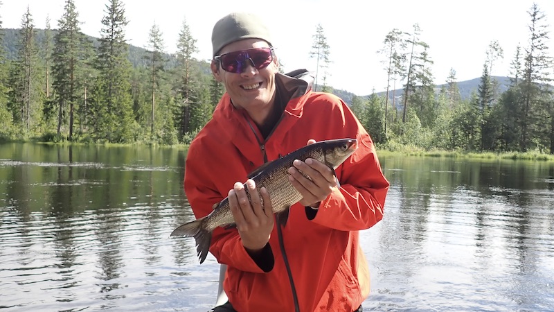 Helt / Sik / Whitefish 230720 rena guide linden helt