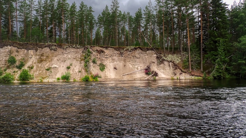 Svalerne her forladt deres redehuller 230725 rena grusbakkken svaler