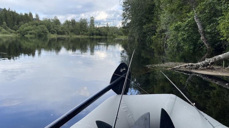 230728 rena ringende trout