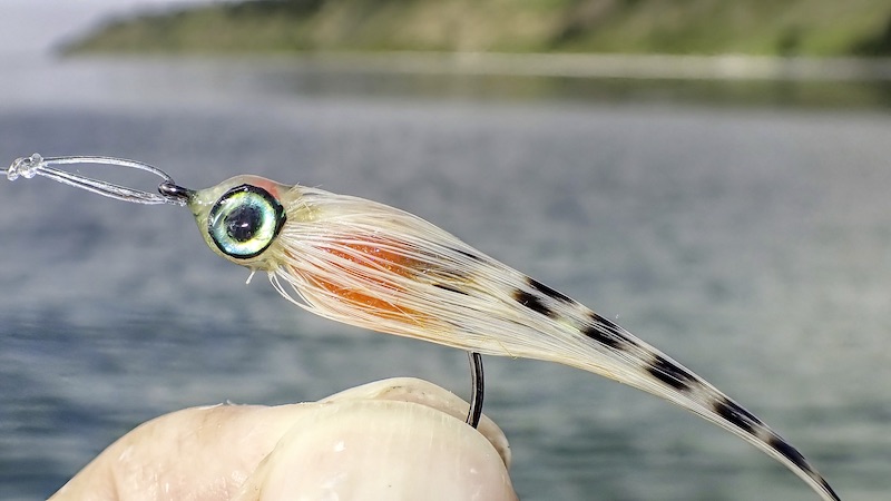 Streamer 230820 kobberhagen streamer