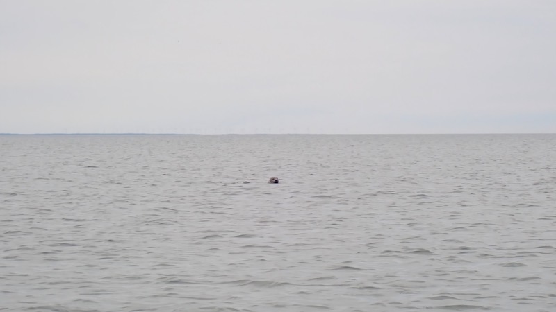 230830 fjellerup seal