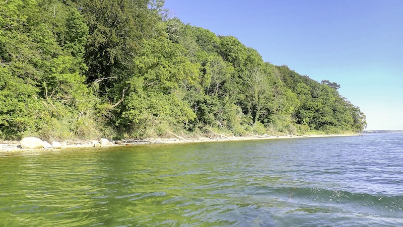 Vosnæs Pynt 230902 aarhus bugten vosnaes skoven