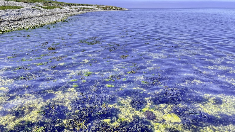 230906 steensgaarde kystlinie