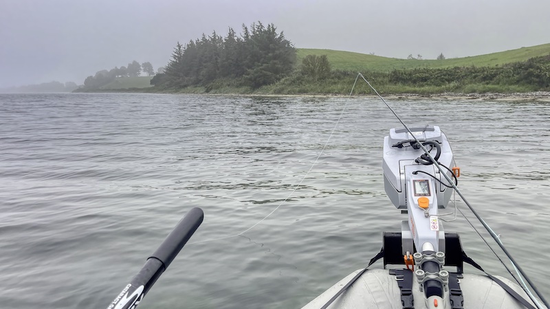 Morgen dis ved Esby 230910 esby morgen dis