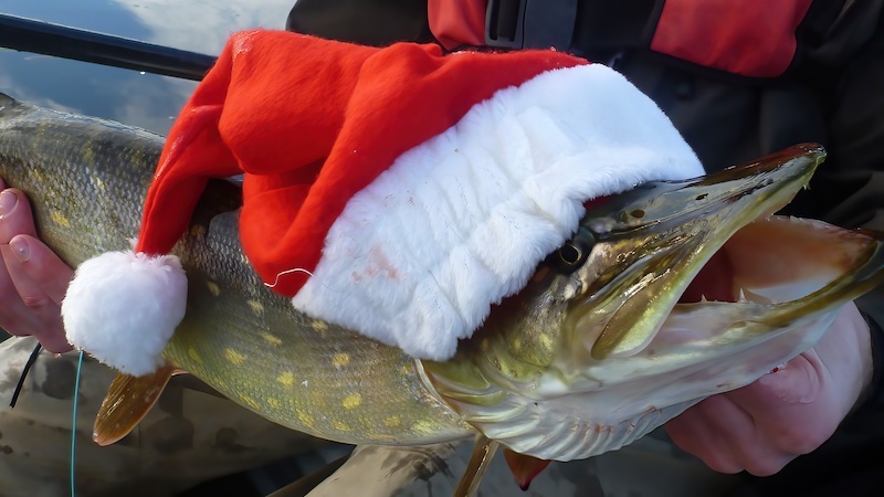 231218 gudenaa randers julegedde