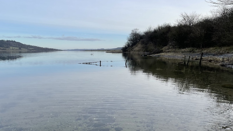 Mariager Fjord ved Skellerup 231228 mariager stille fjord