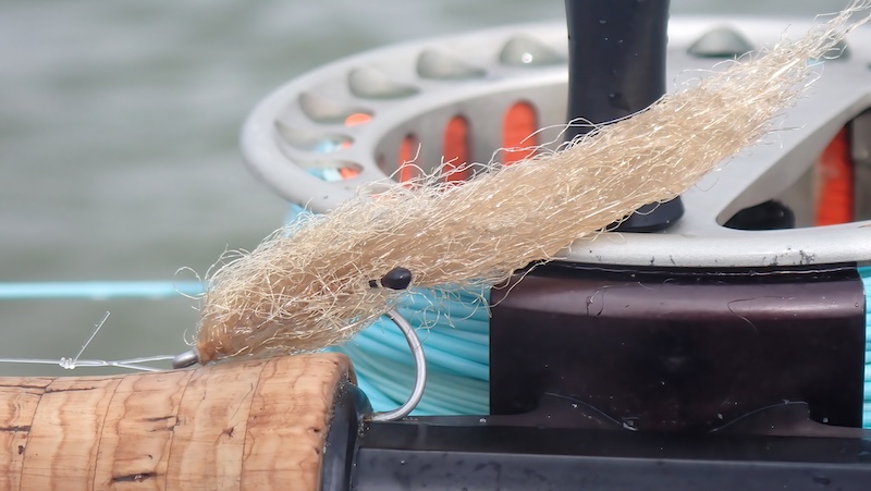 240315 fjellerup flue