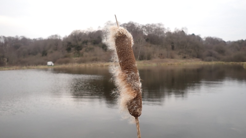 240328 lake regnbue dunhammer