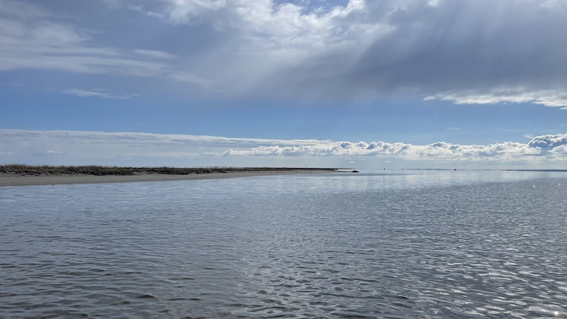 240420 randers fjord udbyhoj pollene