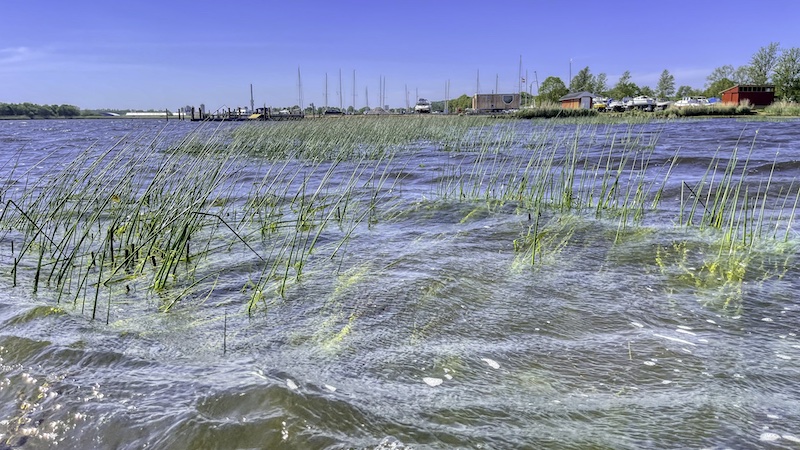 240517 bredningen havn
