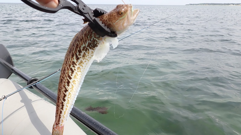 240527 hans v klinken fjaesing