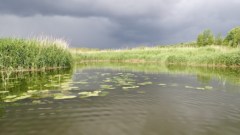 240606 gudenaa randers aakander