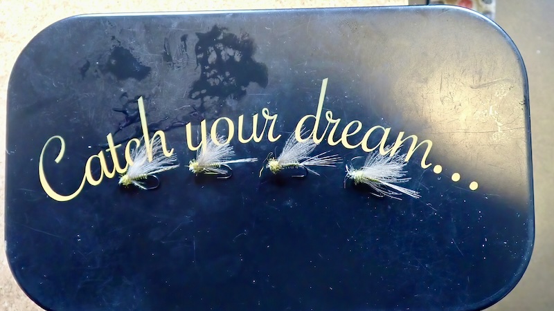 240705 rena holmen ellemose duns