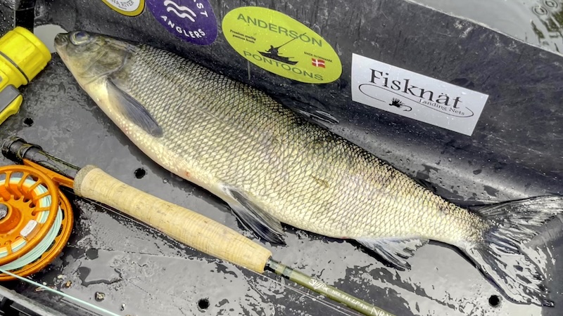 240705 rena holmen helt