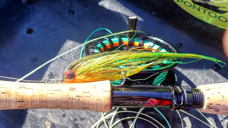 Streamer til gedder 240918 tange streamer