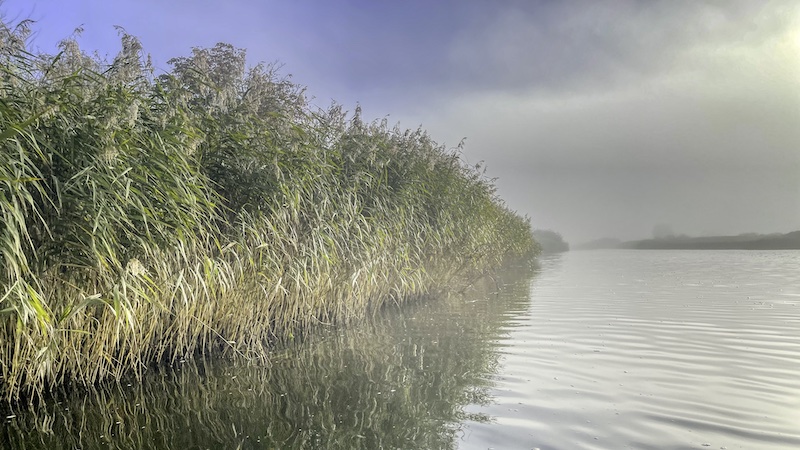 241006 gudenaaen randers aa siv