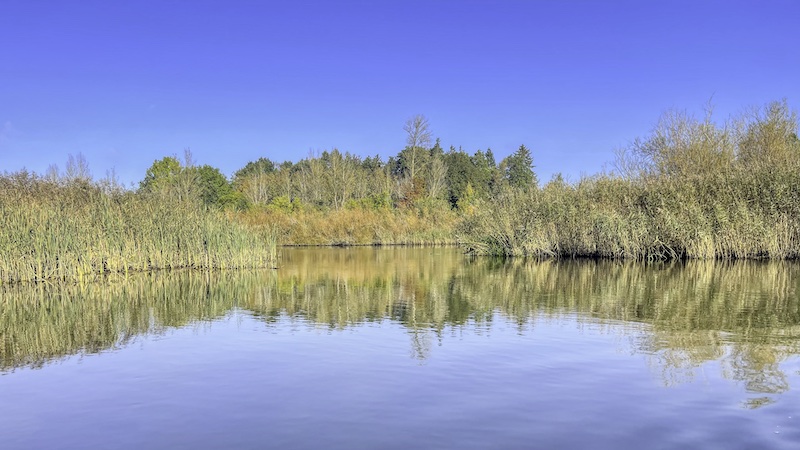 241006 gudenaaen randers blue