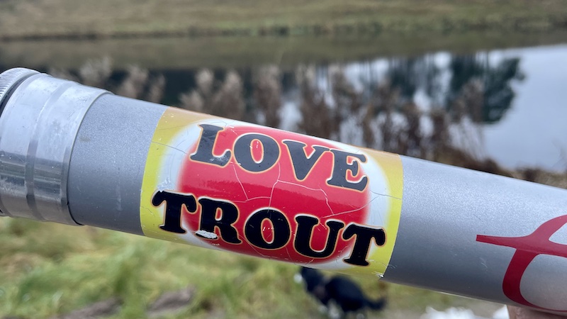 241226 milldam love trout