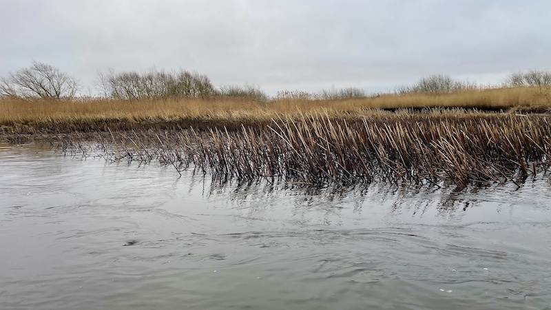 241227 gudenaa current