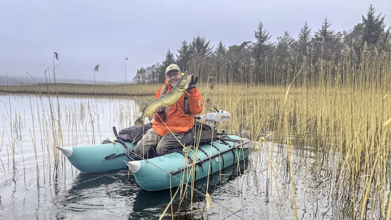 250115 tange mong gedde