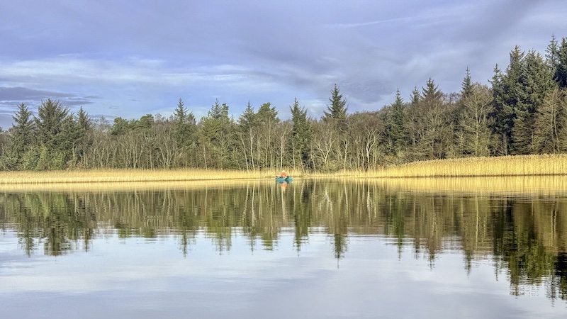 250115 tange mong sol