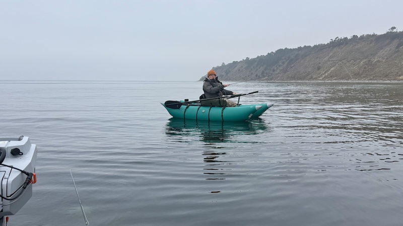 Martin Hedegaard 250118 kobberhagen martin hedegaard